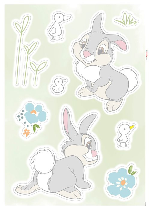 Thumper Growing Carrots