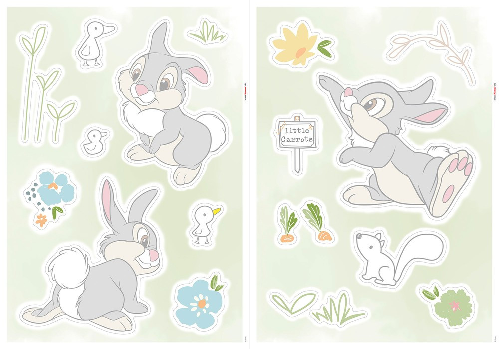 Thumper Growing Carrots