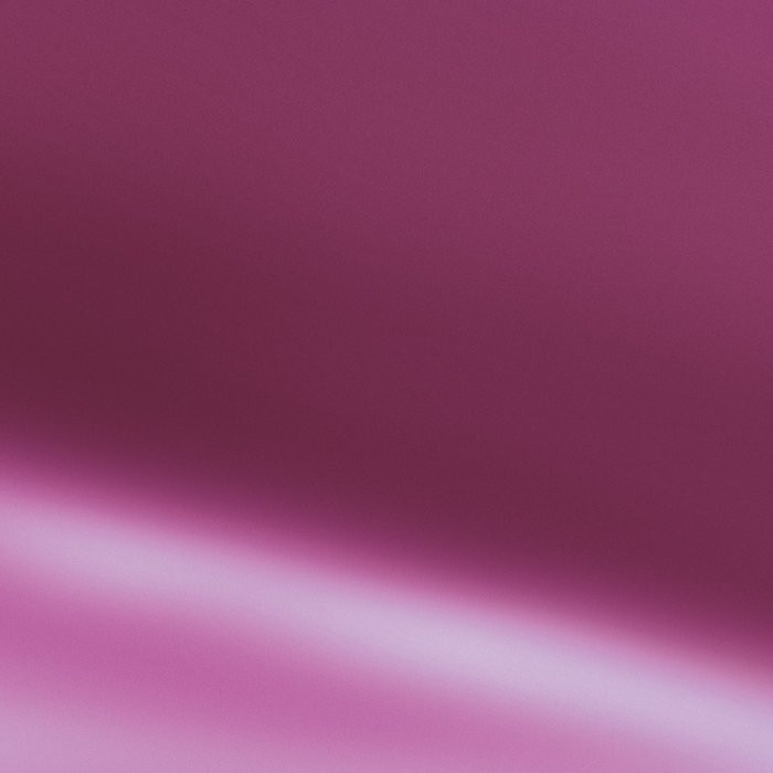 Pink Rose