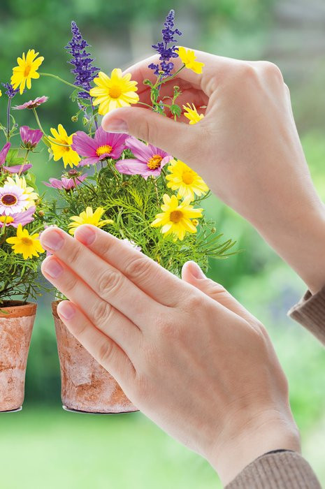 Springtime