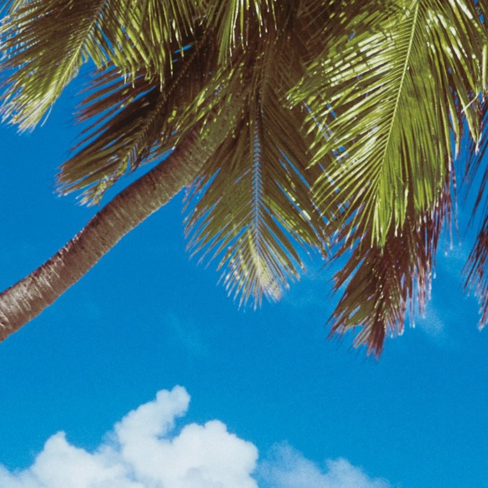 Maldives