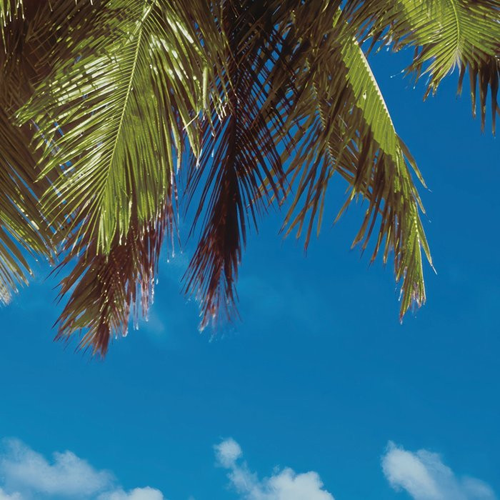 Maldives