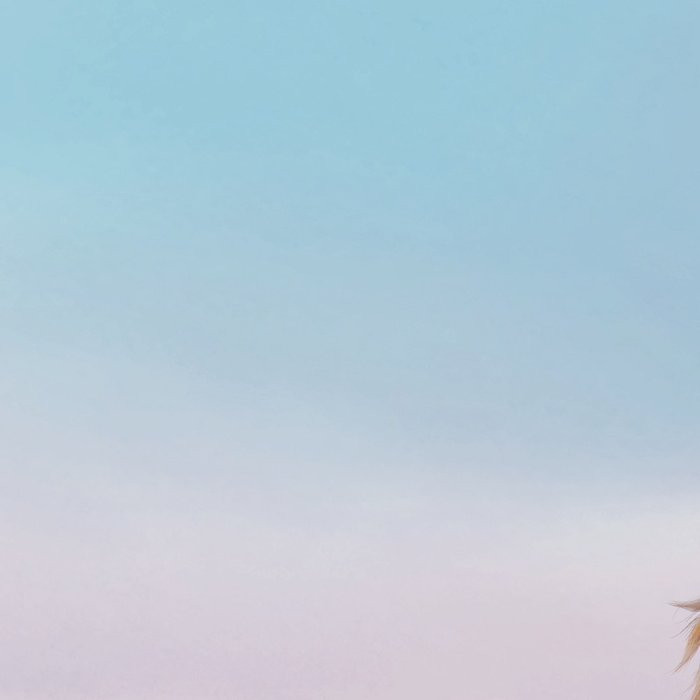 Frozen Iconic