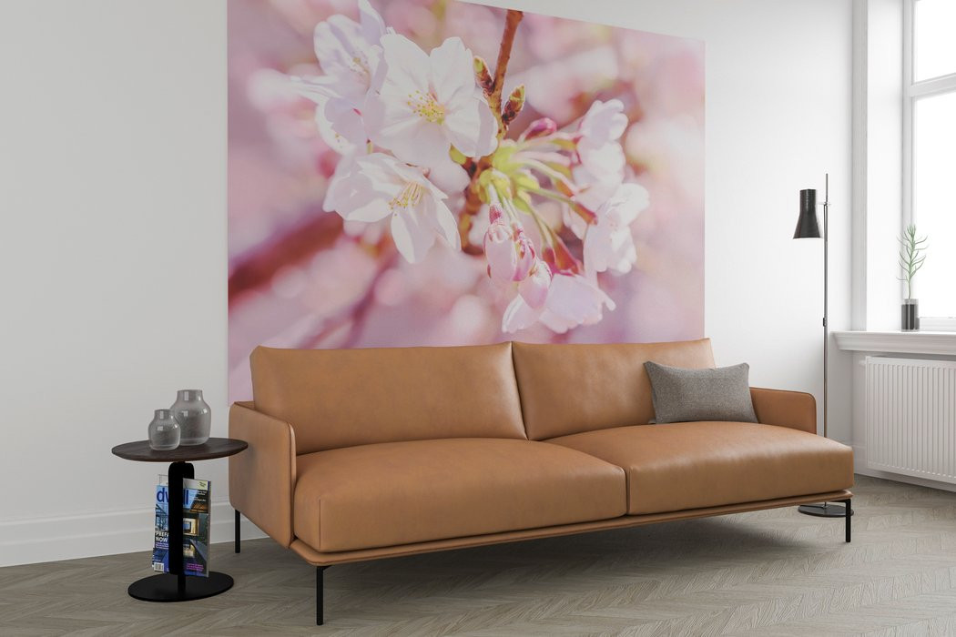 Pink Blossom