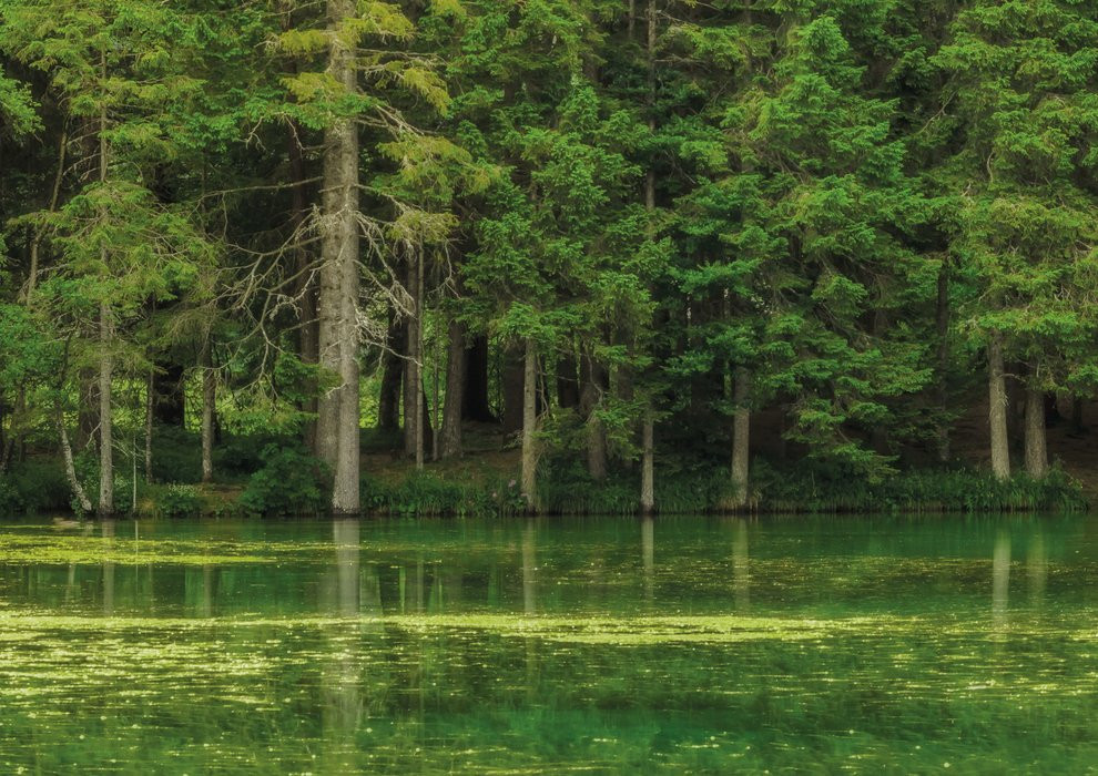 Green Lake