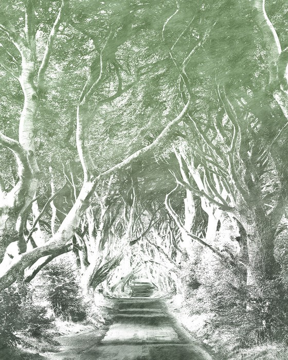 Alley Graphite