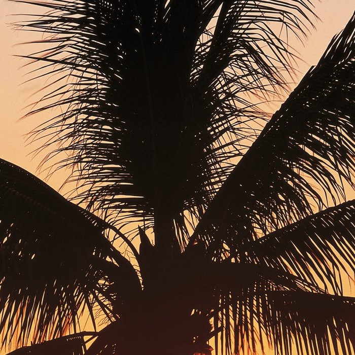 Hawaii