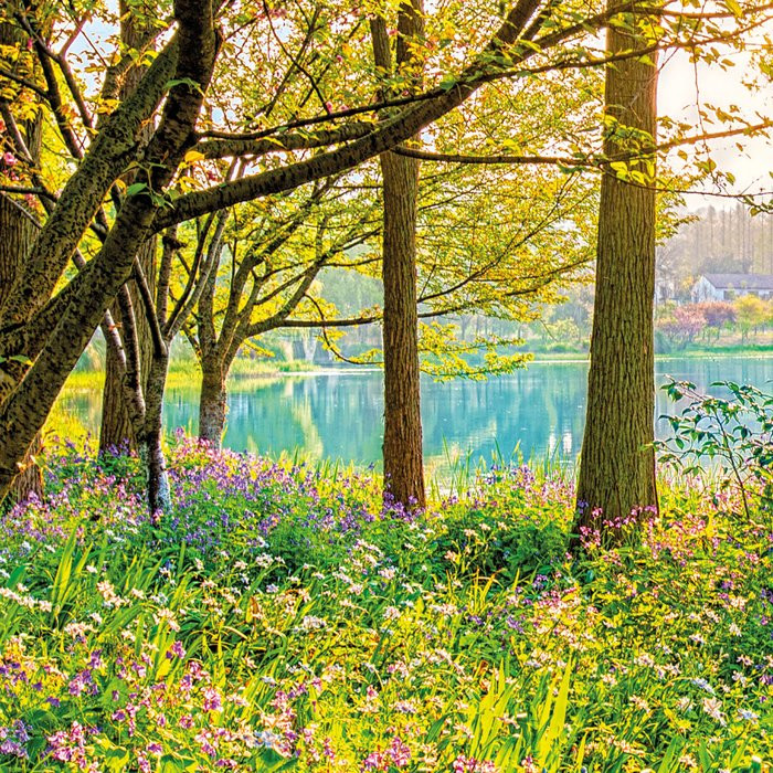 Spring Lake