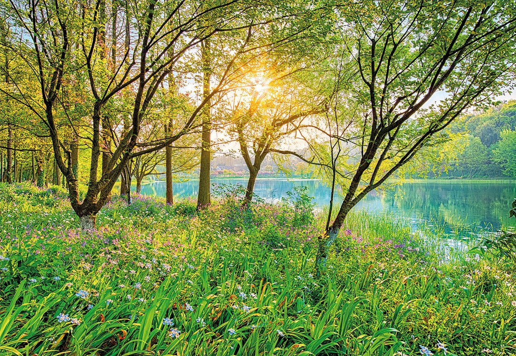 Spring Lake