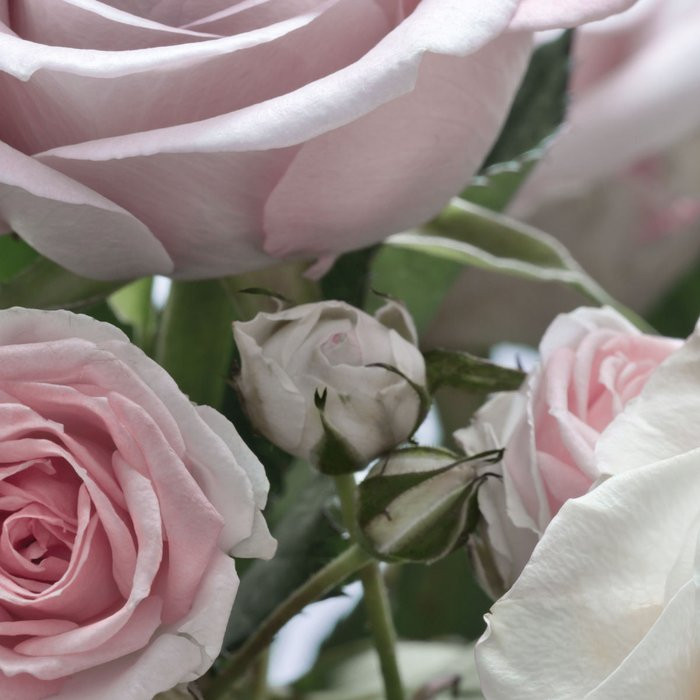 Floraison
