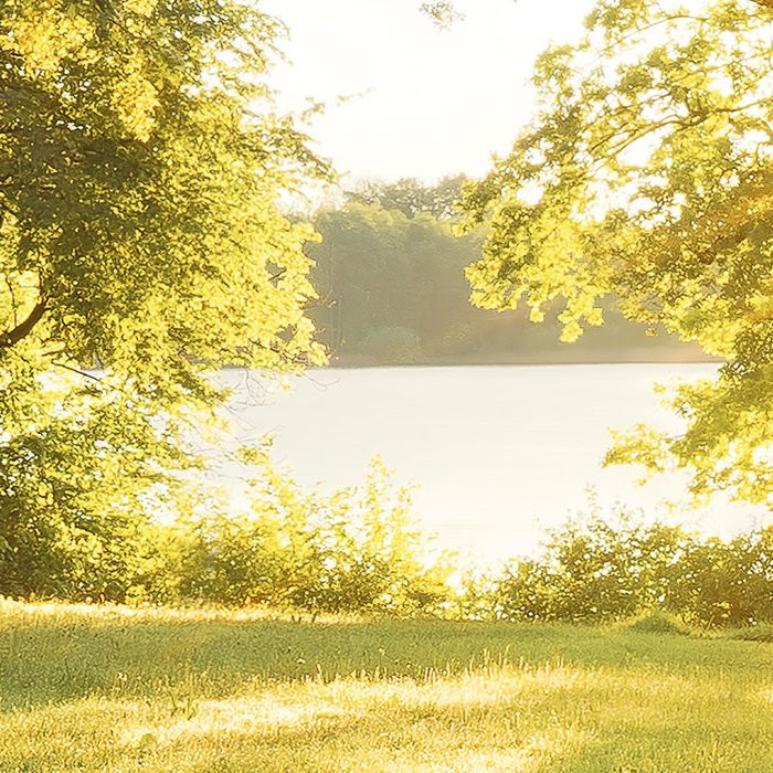 Golden Moment