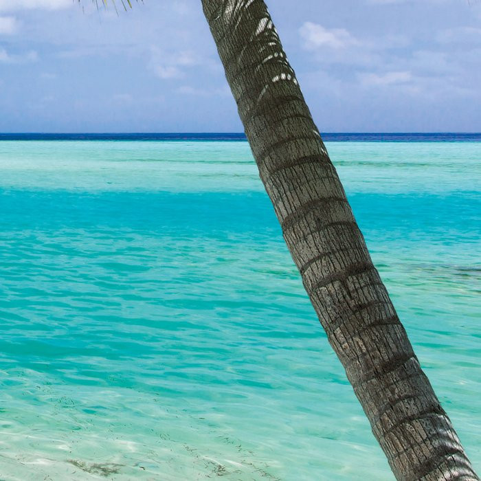 Beach Resort