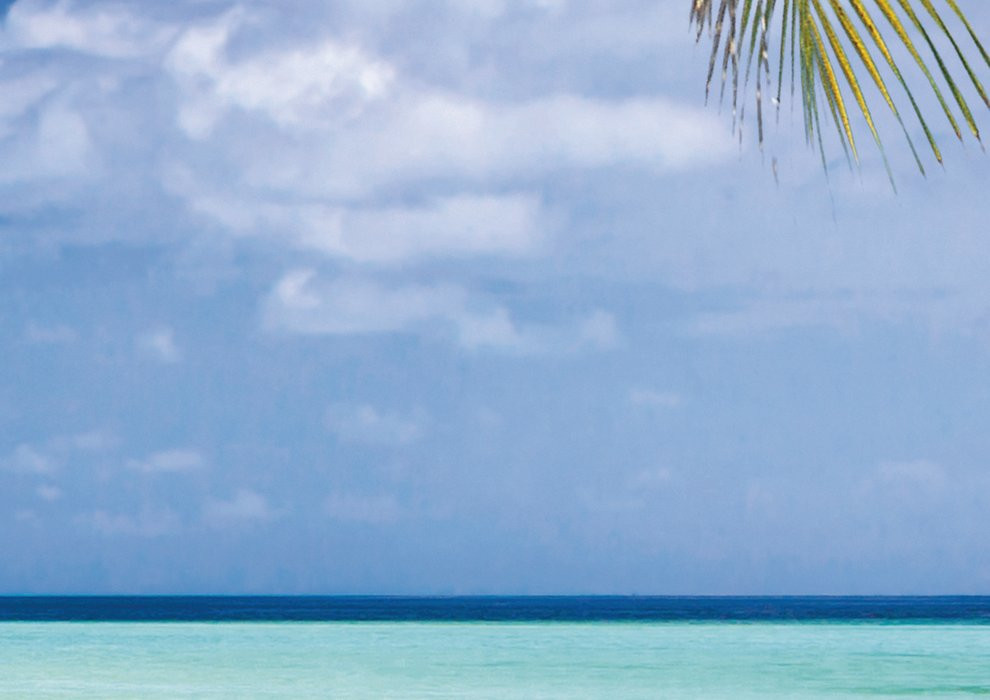 Beach Resort
