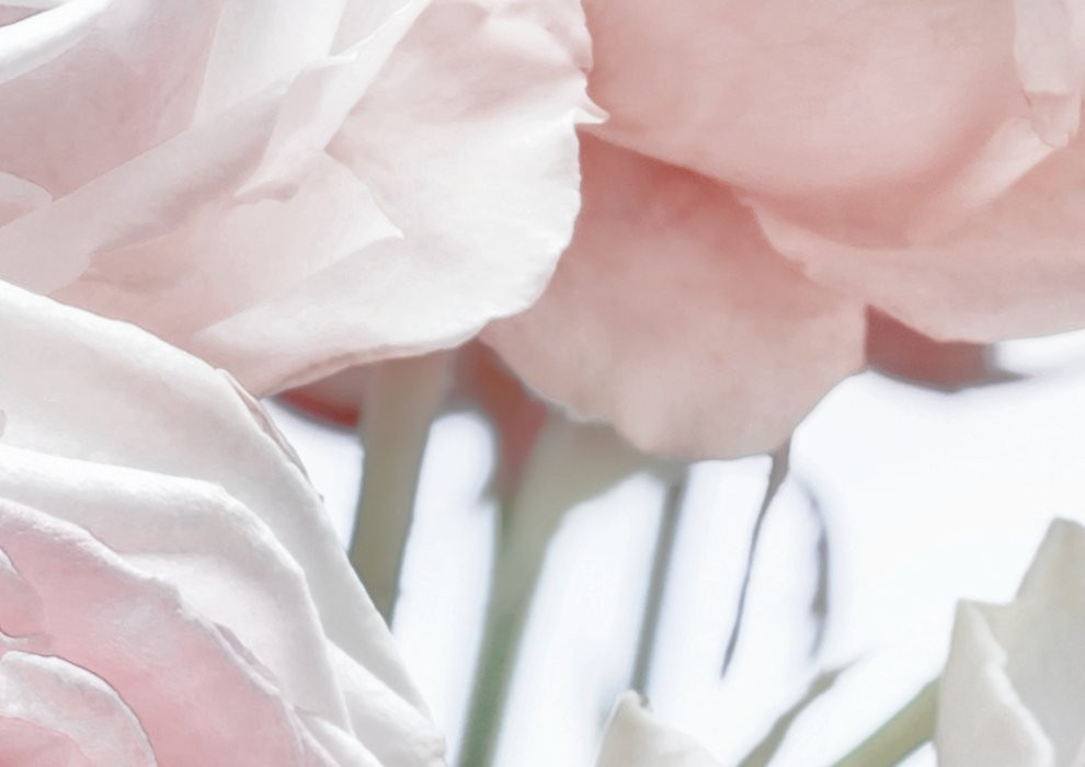 Spring Roses