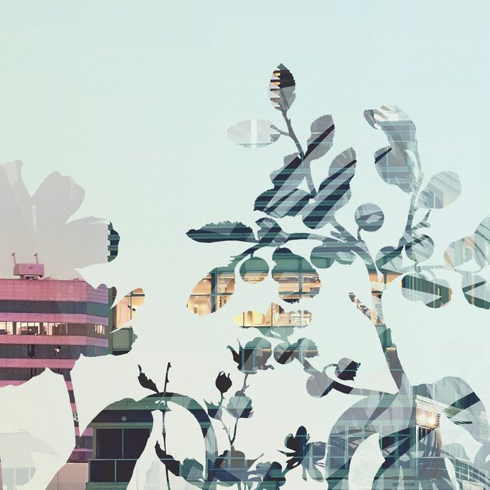 Urban Jungle