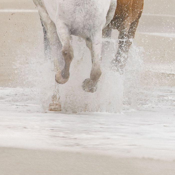 White Horses