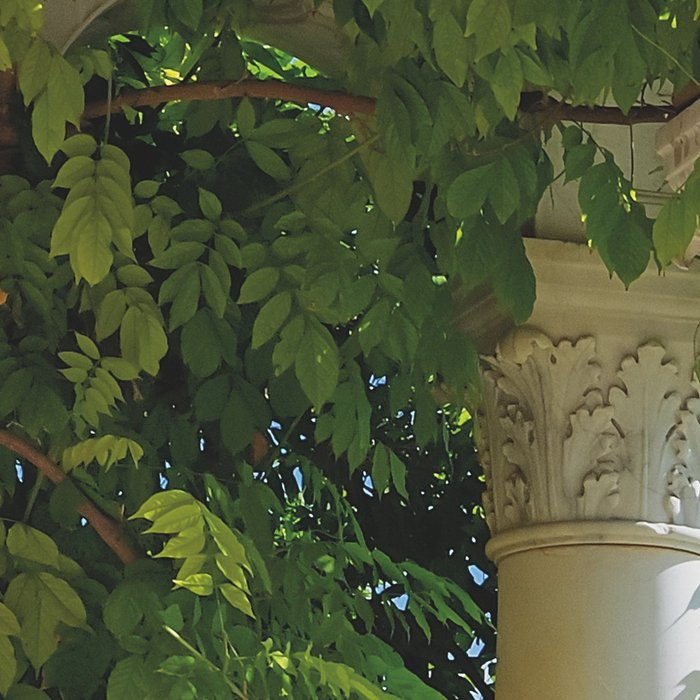 Villa Liguria