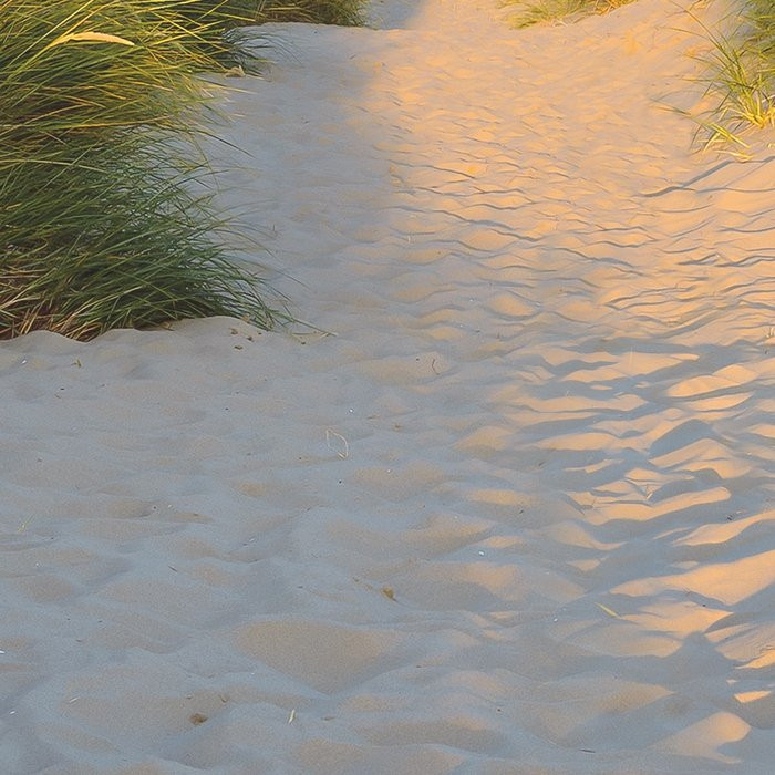 Sandy Path