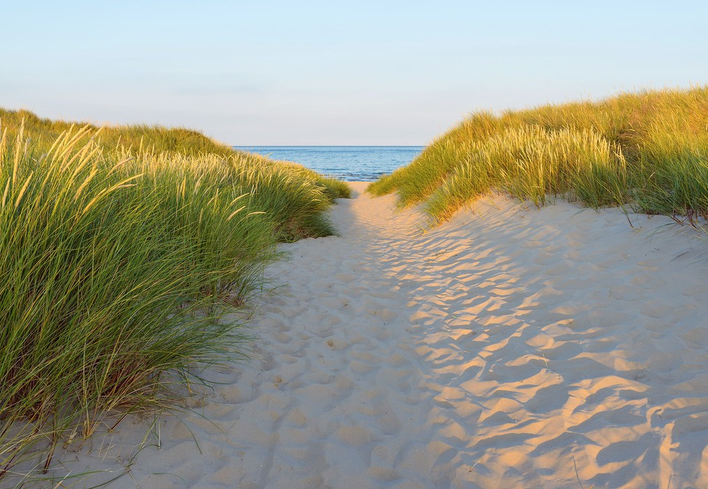 Sandy Path