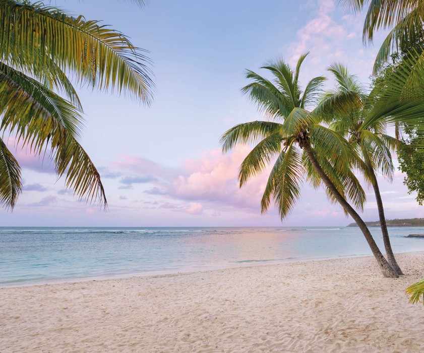 Paradise Morning
