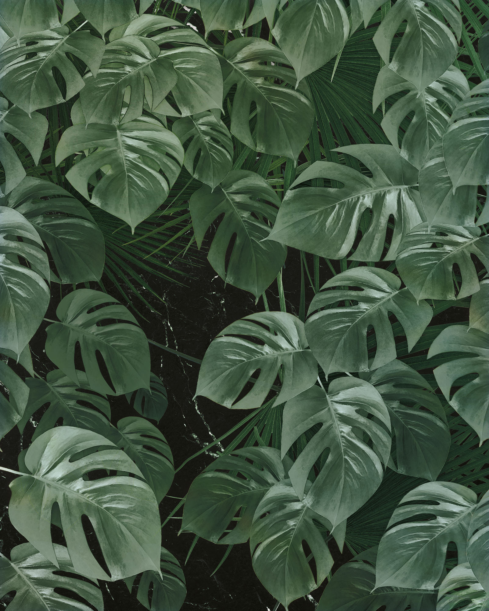 Monstera on Marble