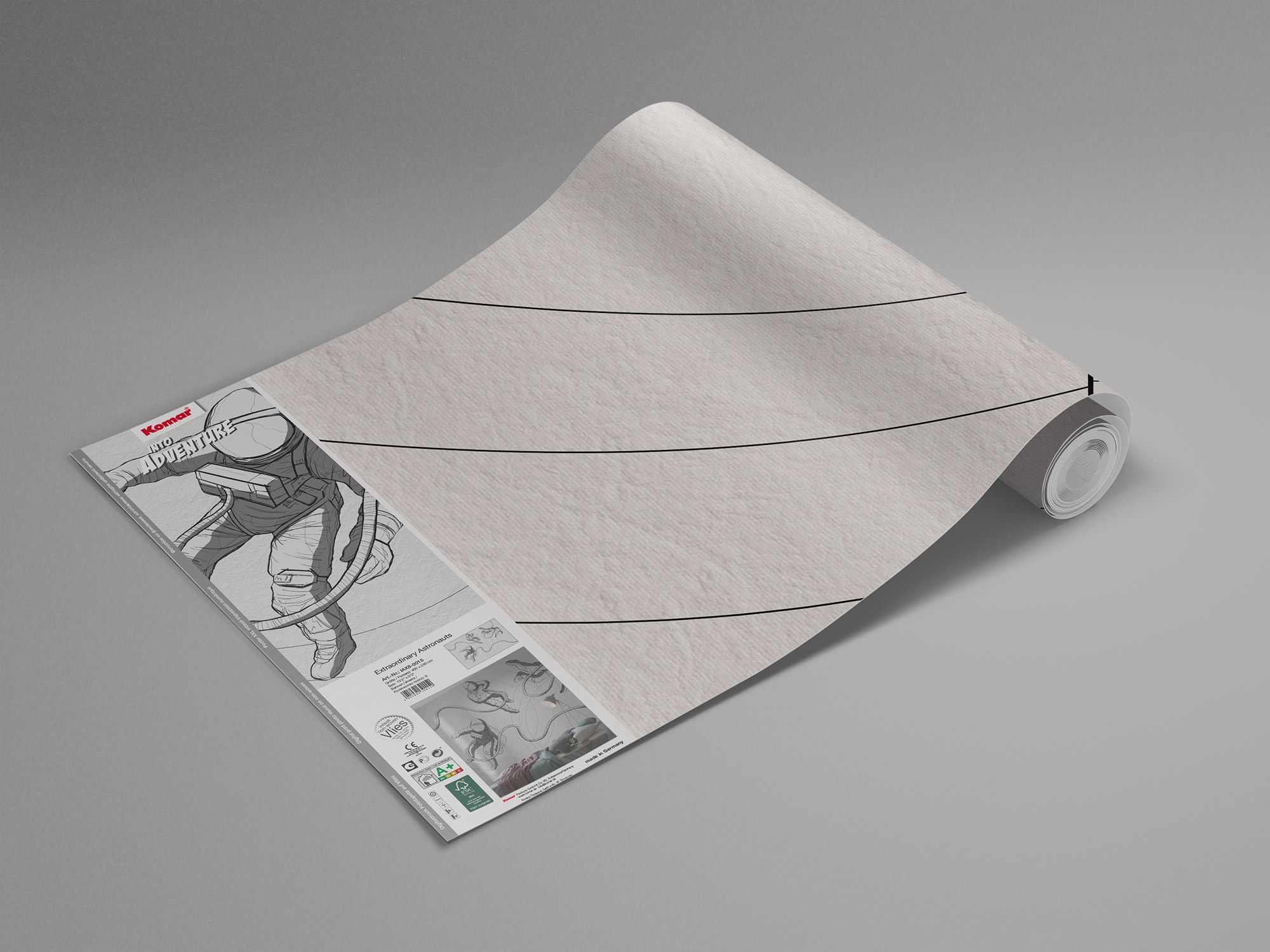 Extraordinary Astronauts