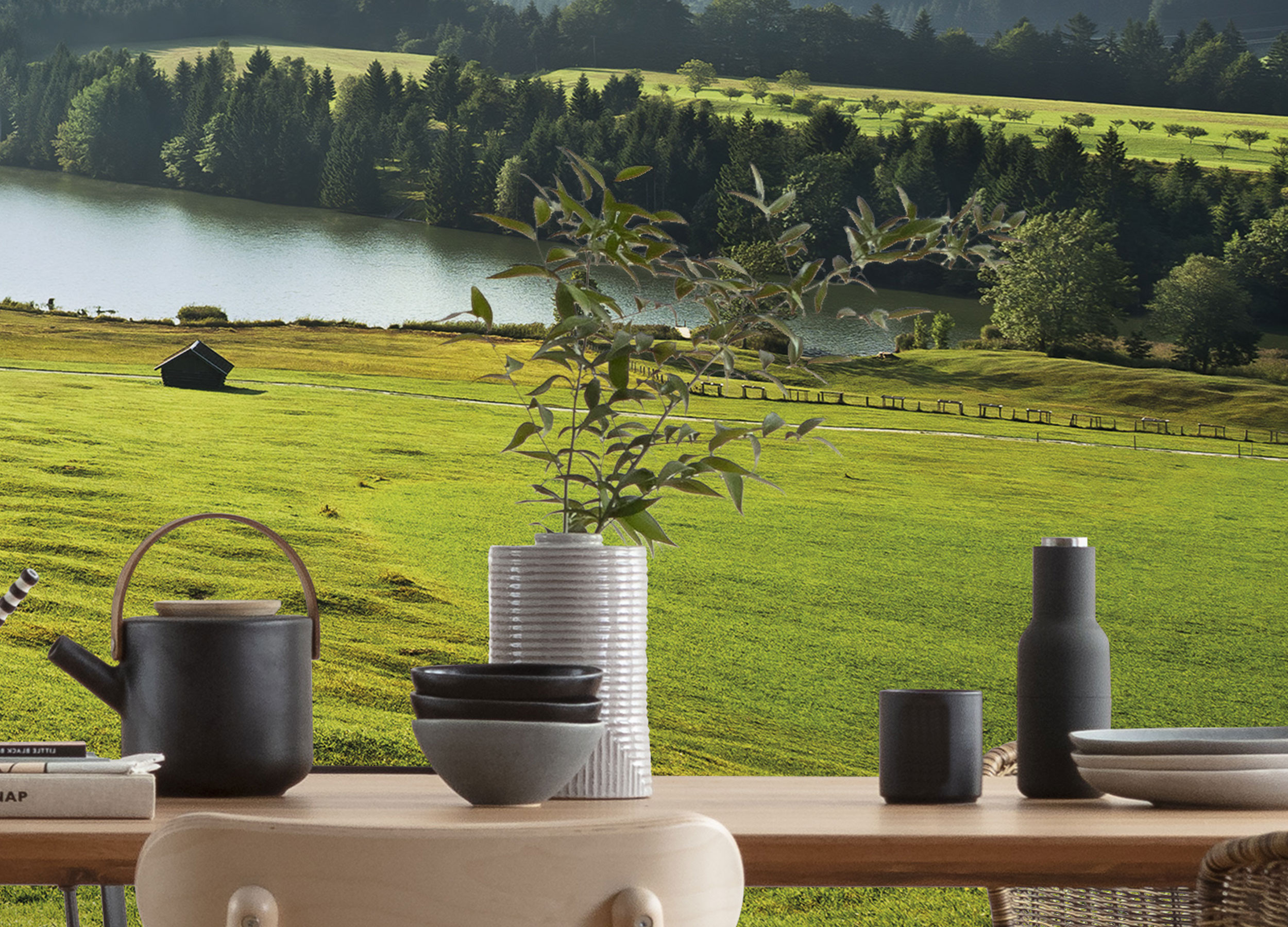 Bergwiese vor Karwendel