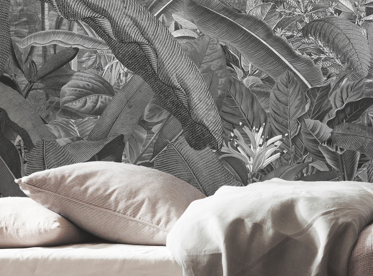 Amazonia Black and White