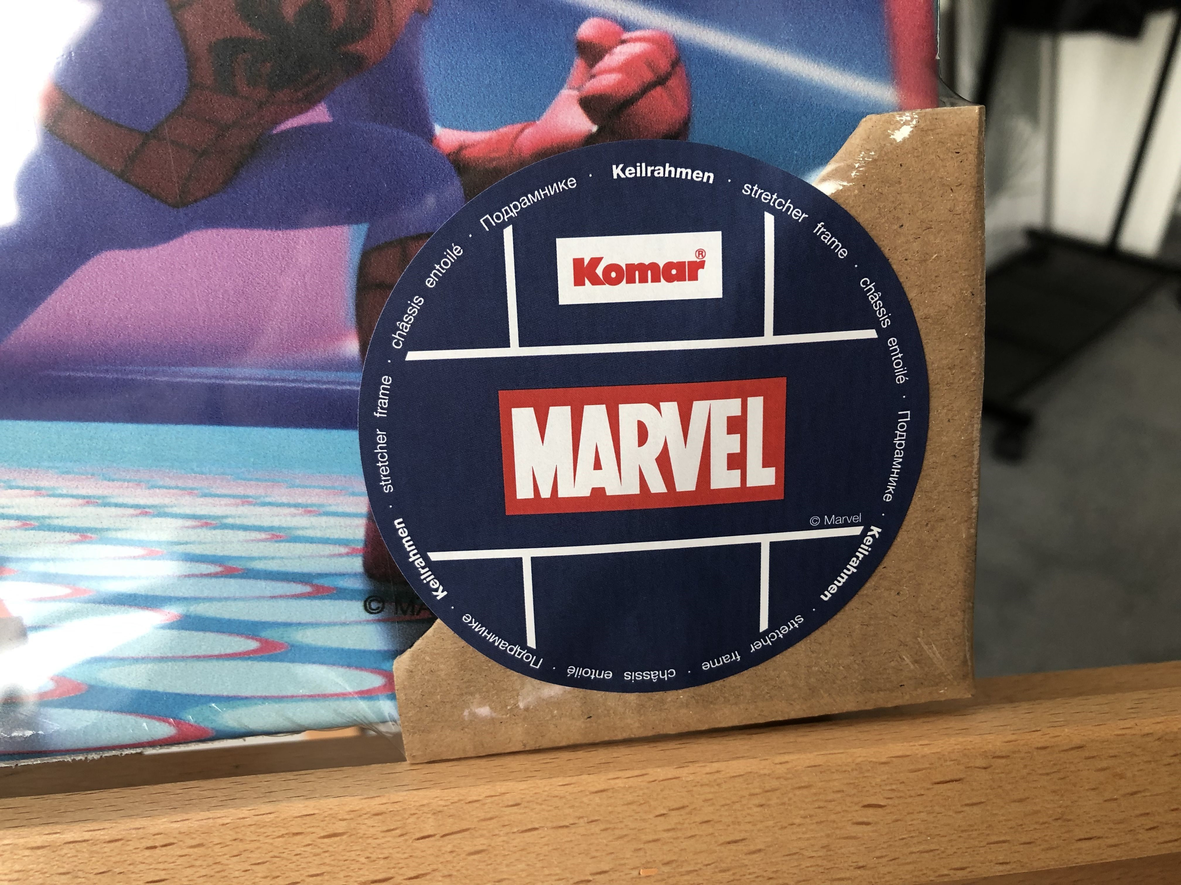 Spidey and His Amazing Friends Selfie