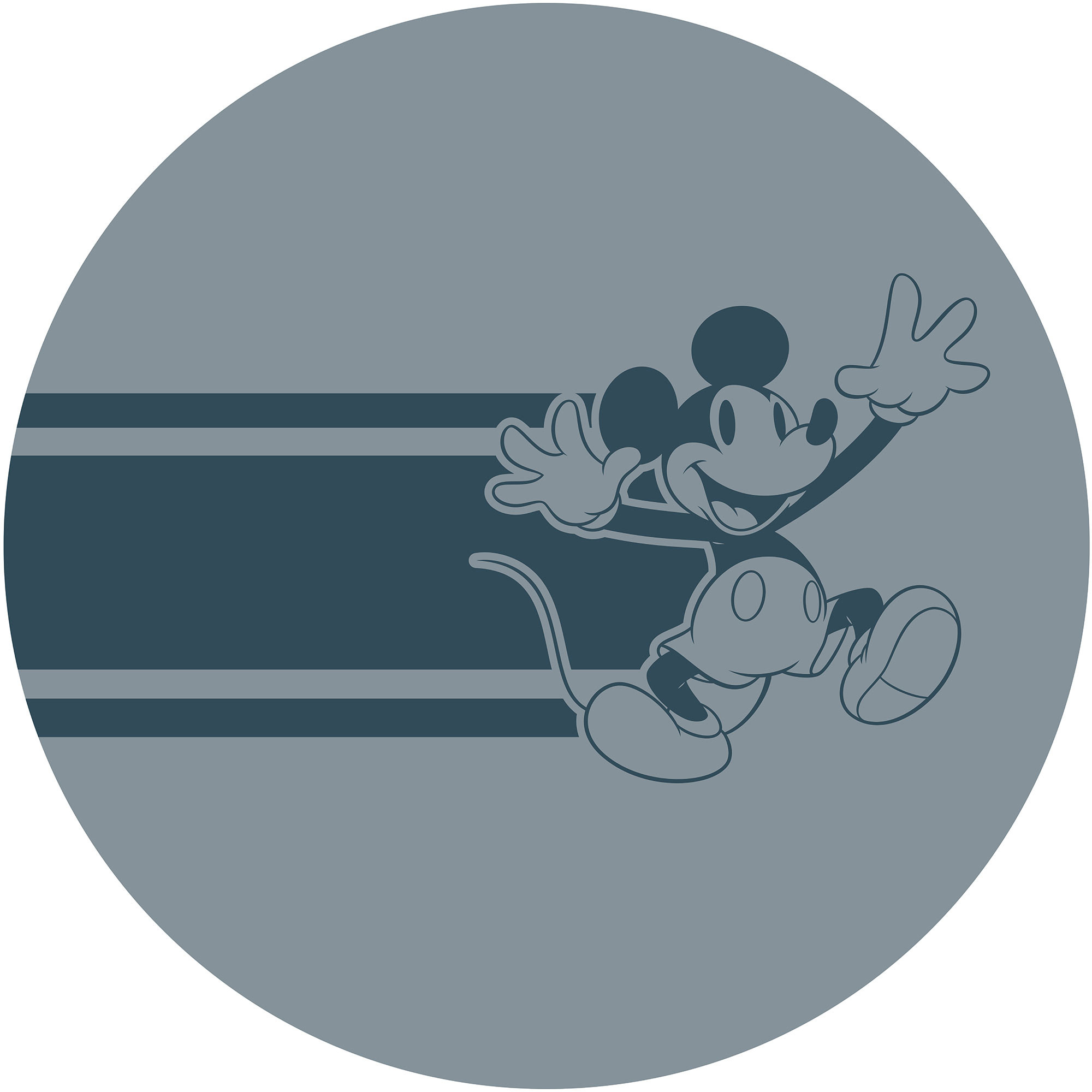 DOT Mickey Bonjour