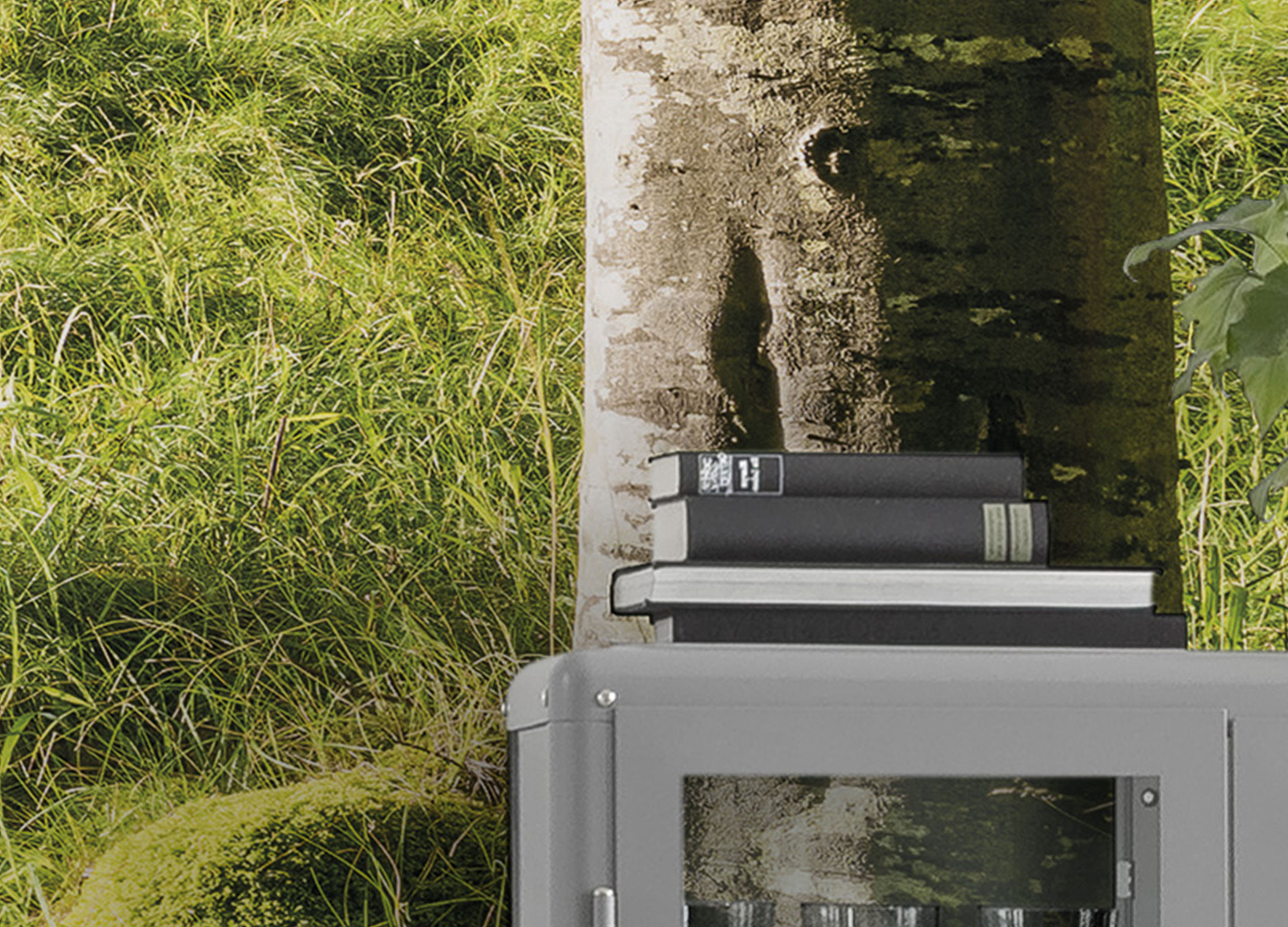 Zauberhaftes Buchenspektakel