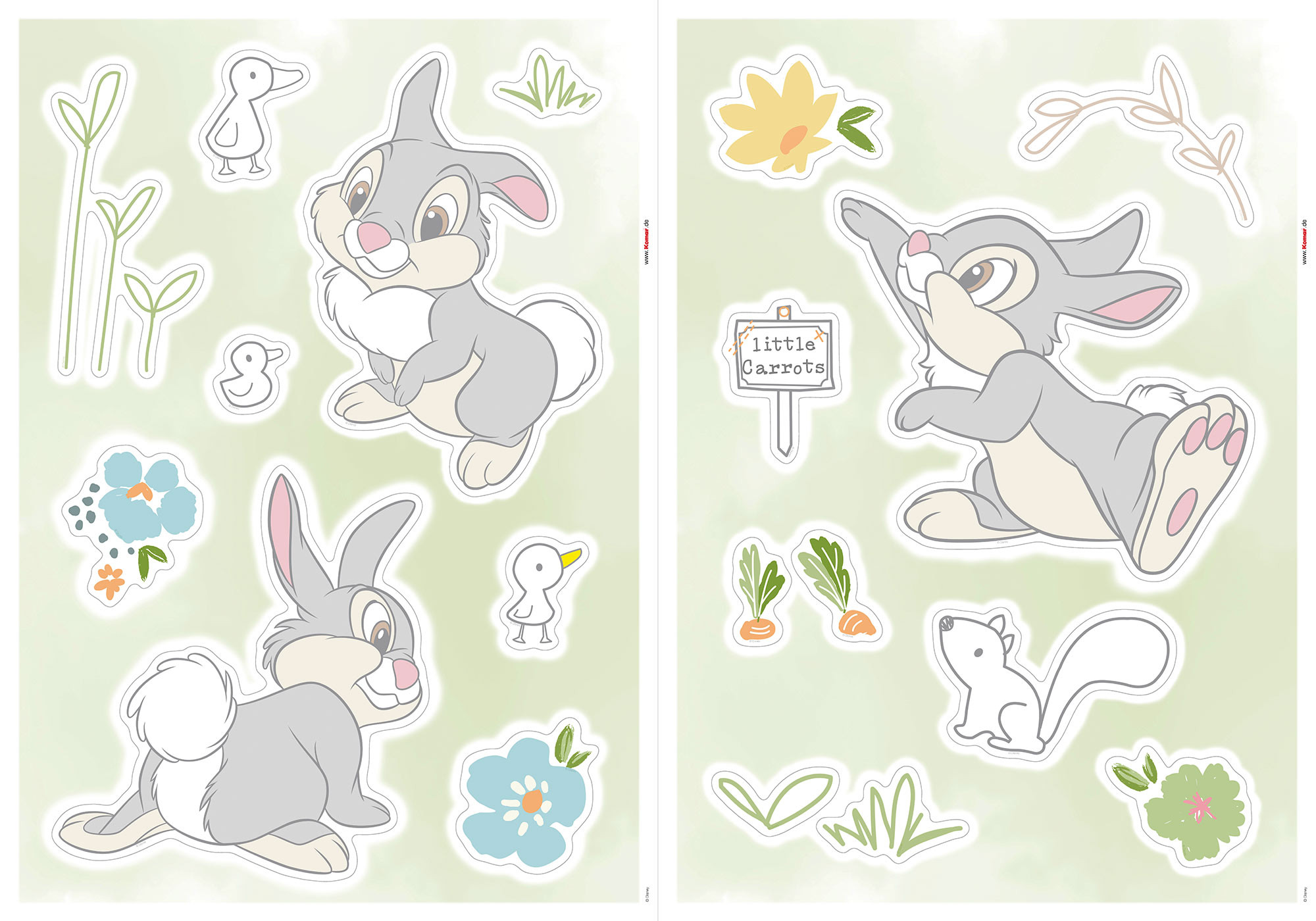 Thumper Growing Carrots