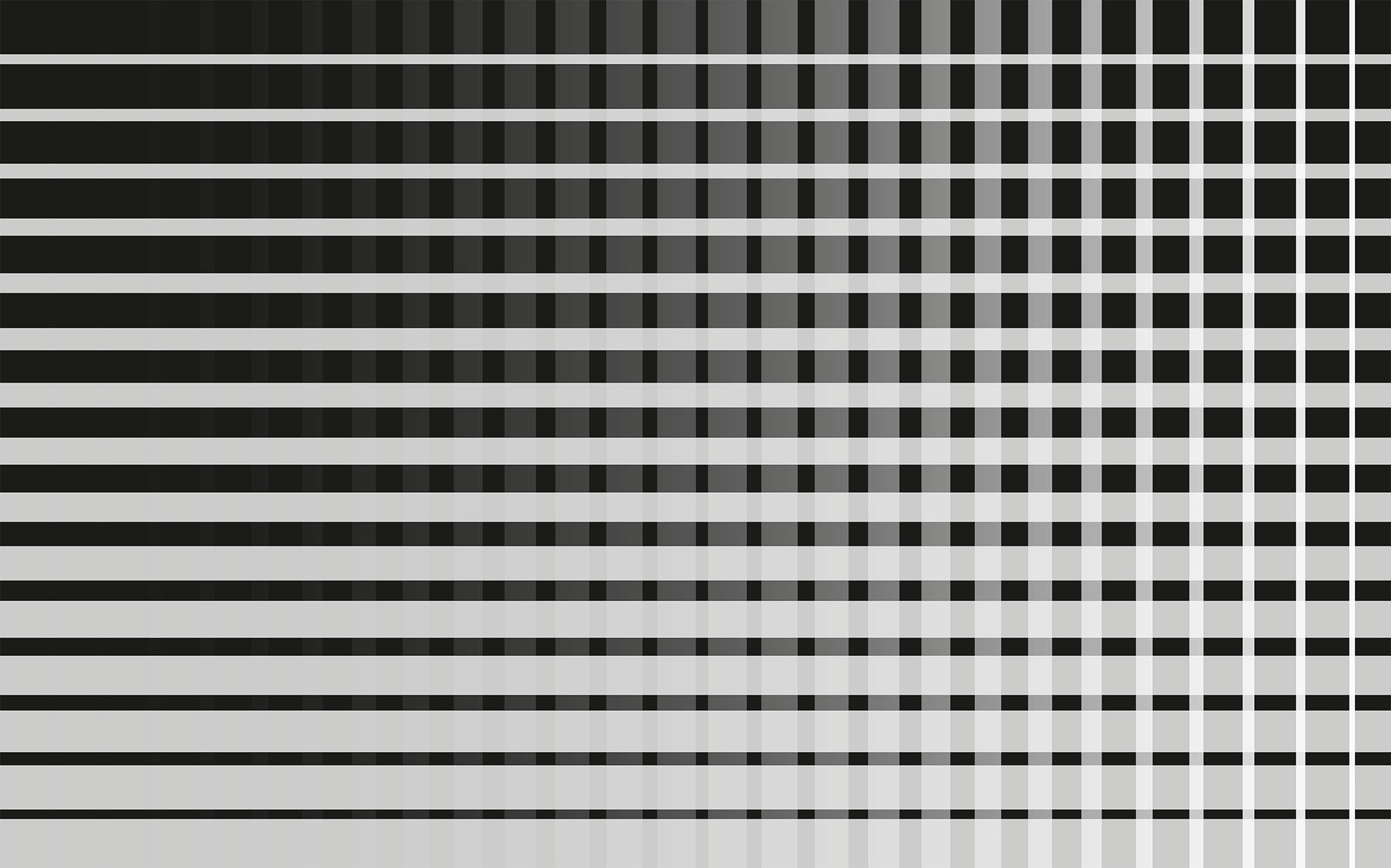 Griddy greyblack-grey