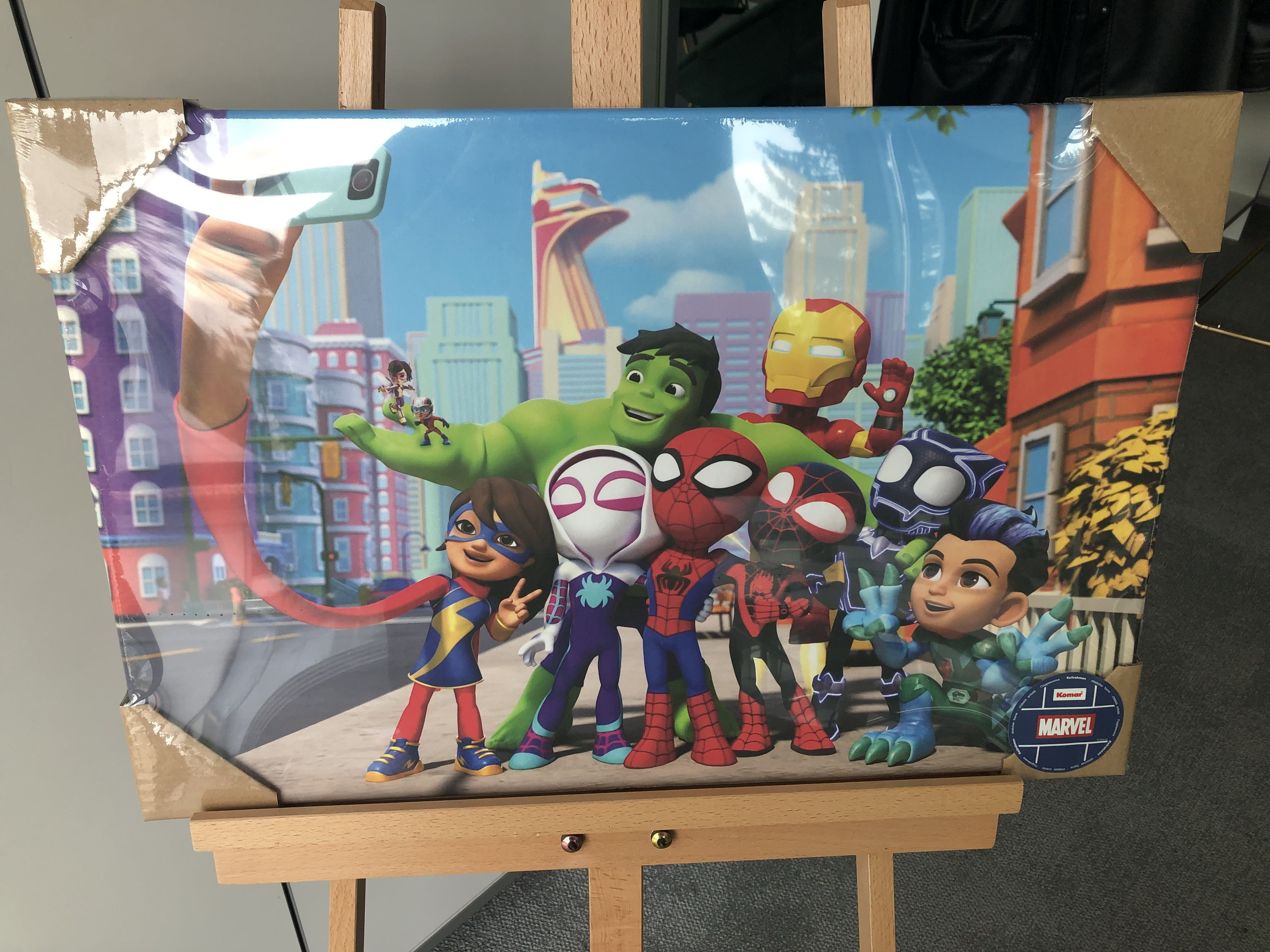 Spidey and His Amazing Friends Selfie