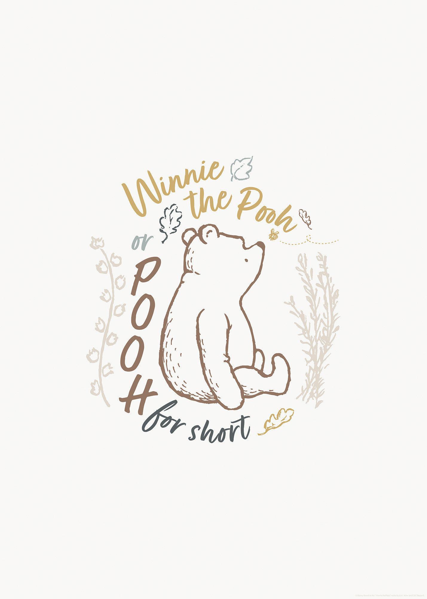 Disney Winnie the Pooh for Short