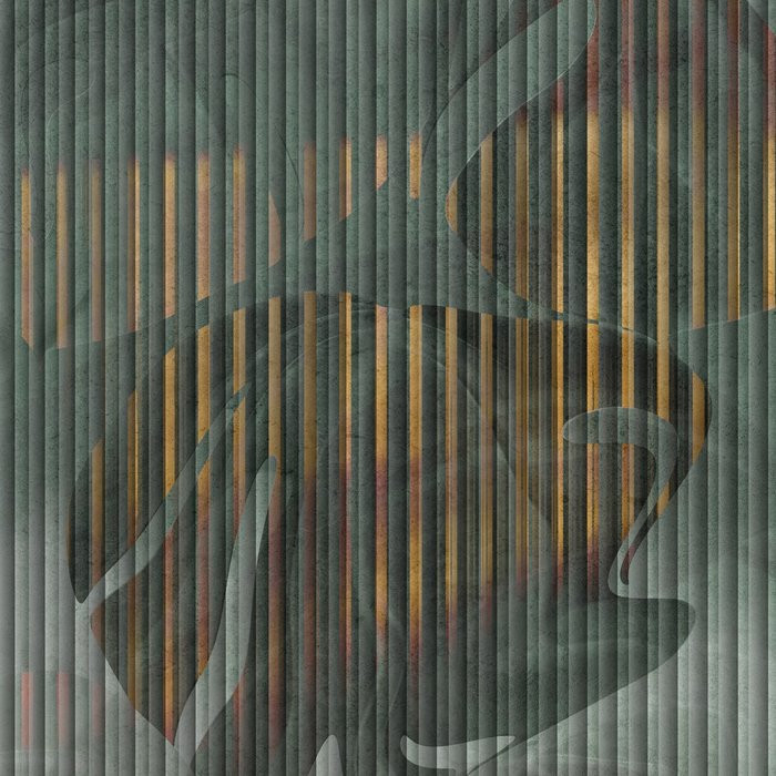 Monstera Gold