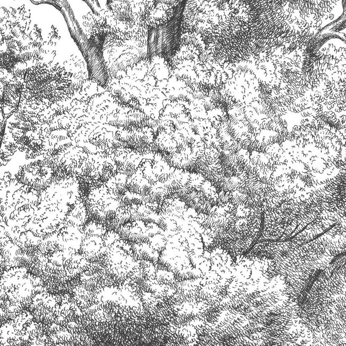 Arbre