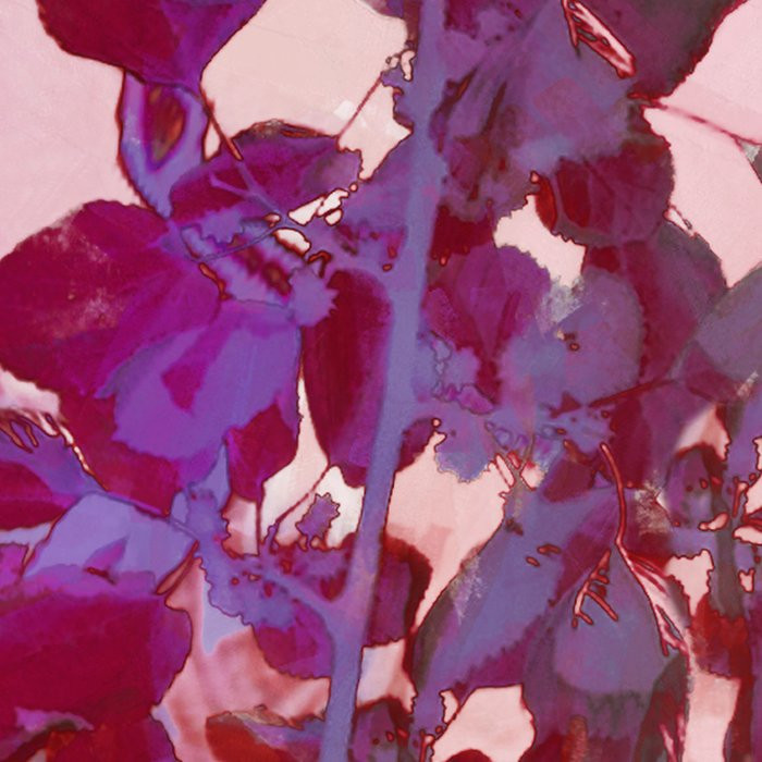 Mauve Sauvage