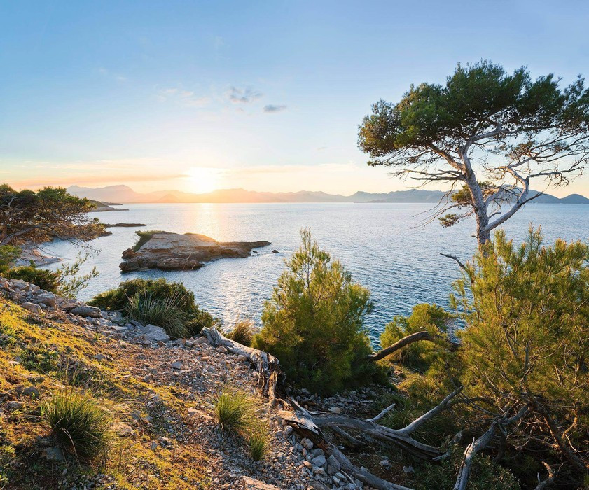 Soleil du soir