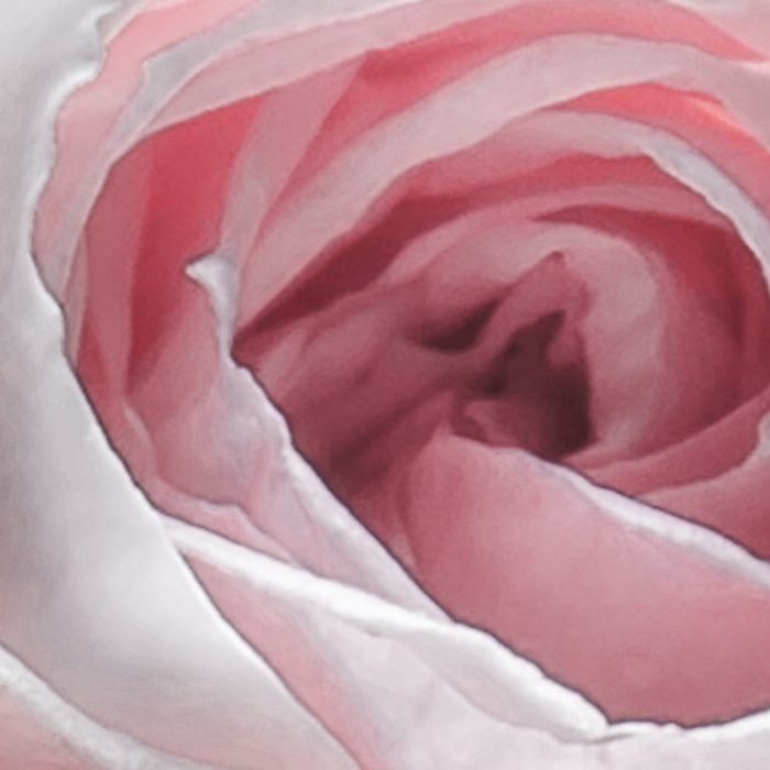 Parfum de Rose