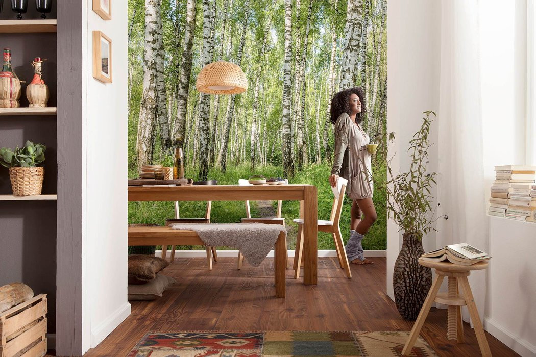 Forêt de Bouleaux