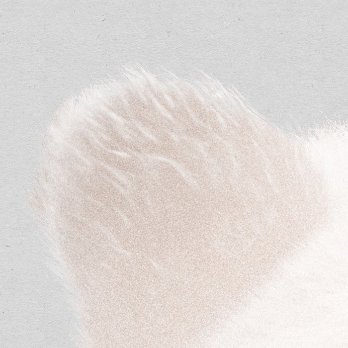 Bearava