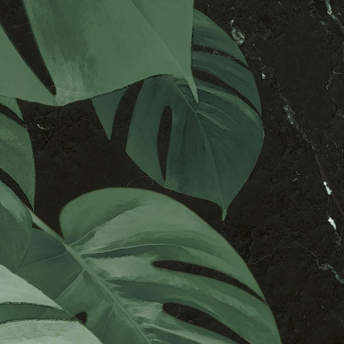 Novel Monstera