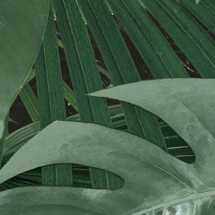 Novel Monstera