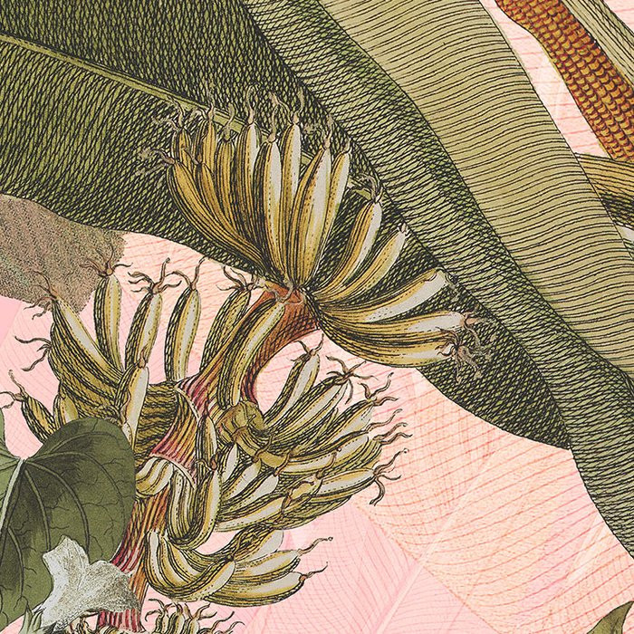 Botany