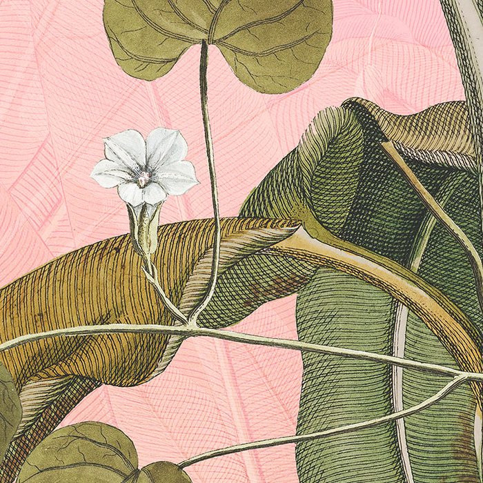 Botany