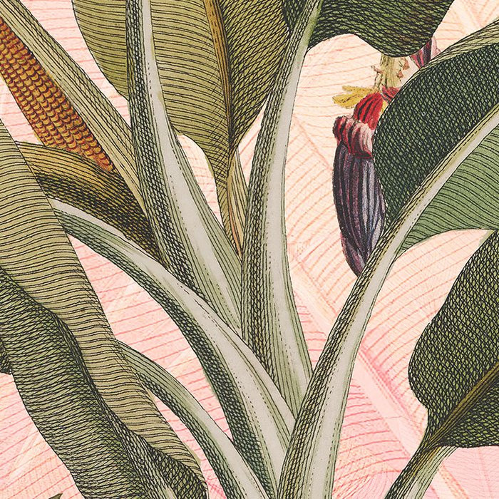 Botany