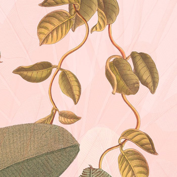 Botany