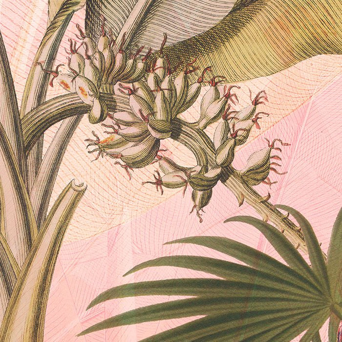 Botany