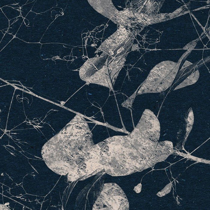 Branch